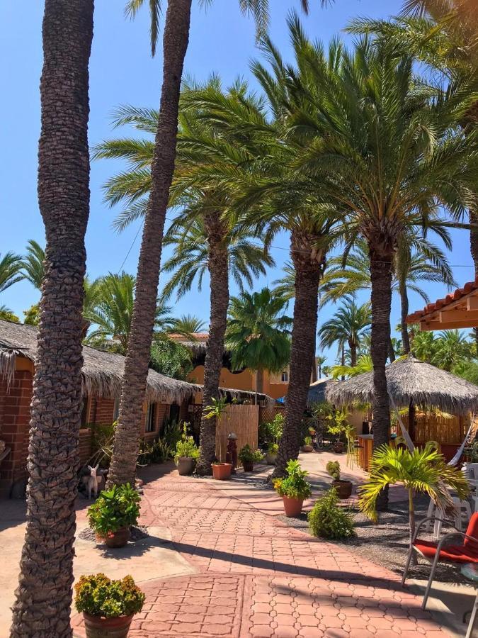 Sukasa Bungalows Loreto  Kültér fotó